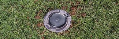 Termite bait station installed in residential lawn for termite protection